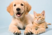 Celebrating National Pet Day - Fur Services Fur Pets